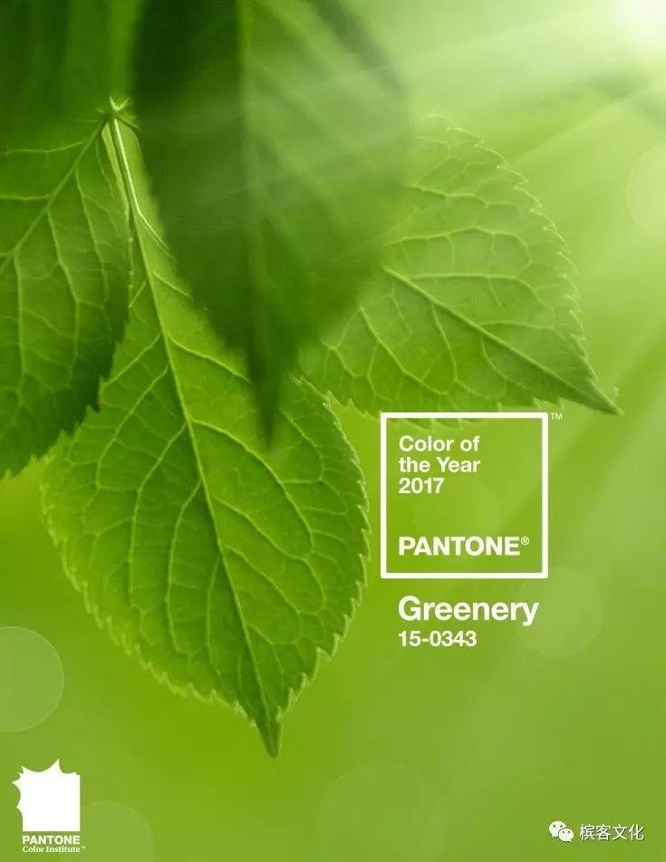 印象 I Pantone 2017年度流行色 — 葡萄园草木绿