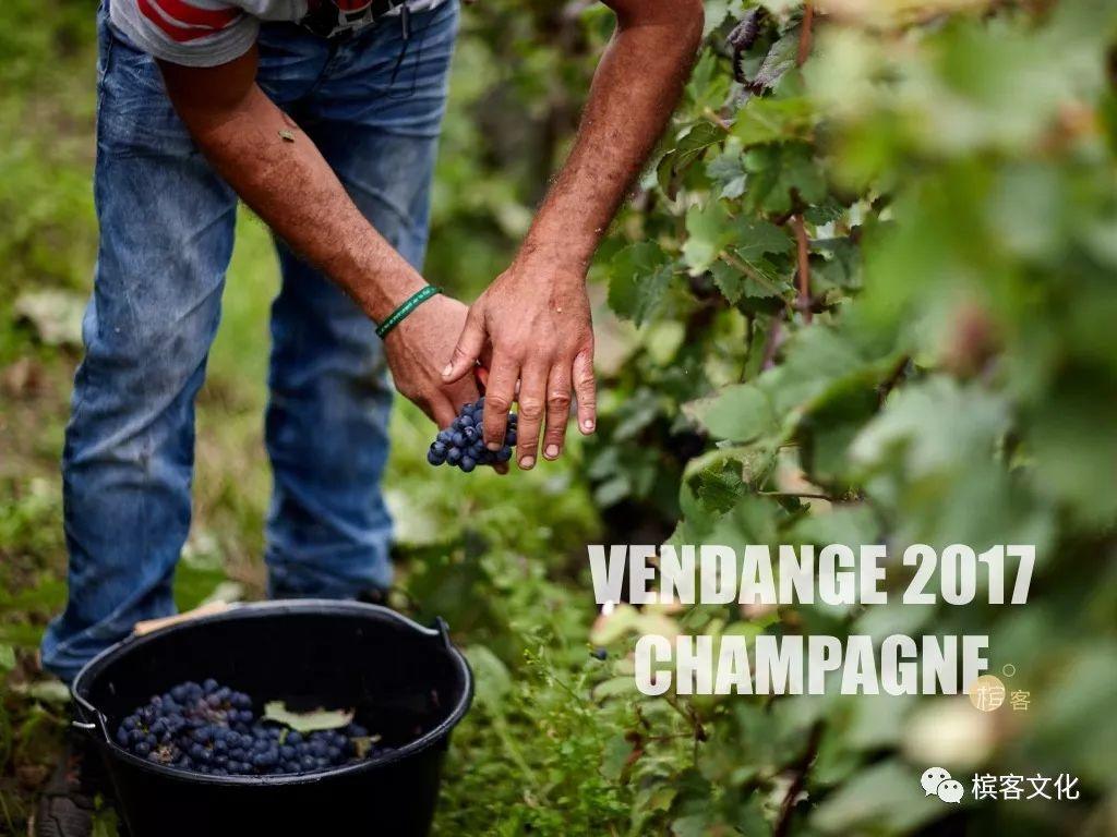 2017年香槟酒第一份品质报告