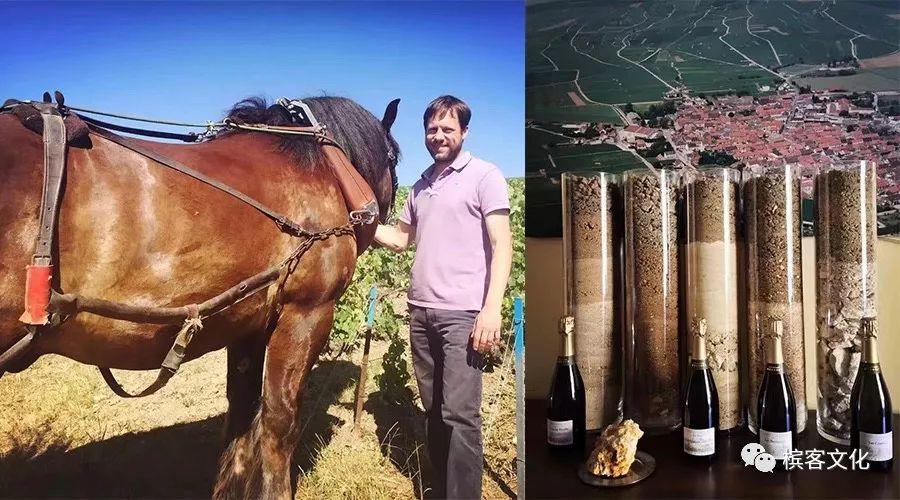 槟客辞典 | 全面解读香槟子产区兰斯山脉Montagne de Reims