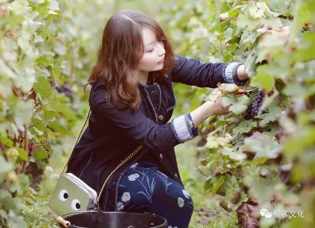 6.4 上海 槟客学院 | On Trade Sommelier Training