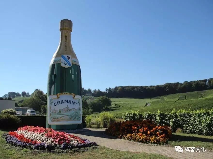 香槟的风土（三）：白丘 Côte des Blancs篇