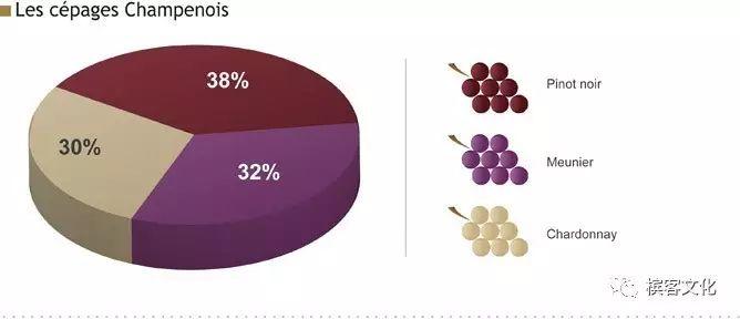香槟葡萄品种－失落Meunier的复兴之路