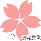 Tippi龚静：我喜欢以一杯香槟作为美好的开始