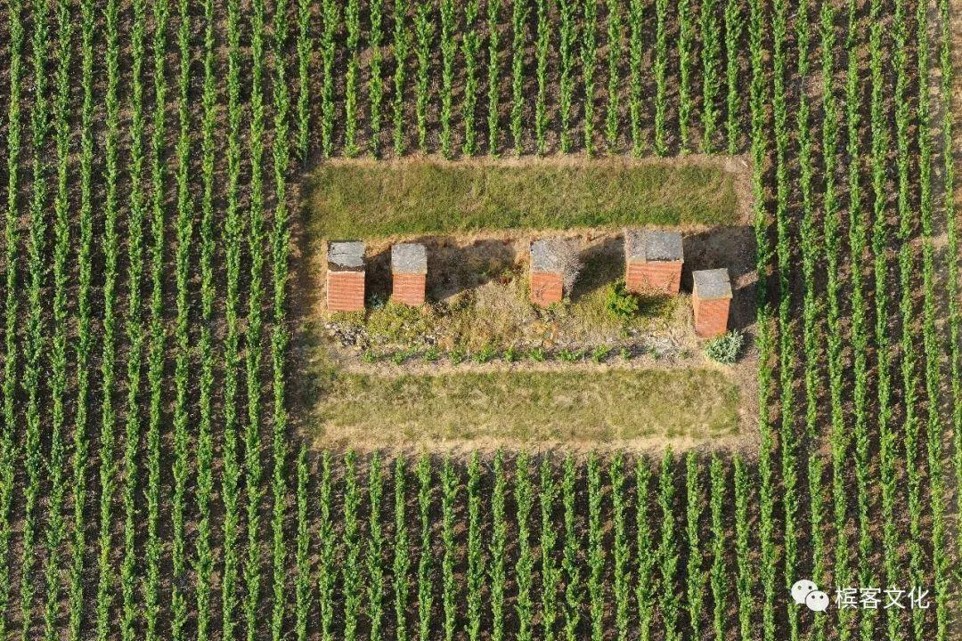 除了波尔多的葡萄酒城，你知道香槟区还有个Cité du champagne吗？