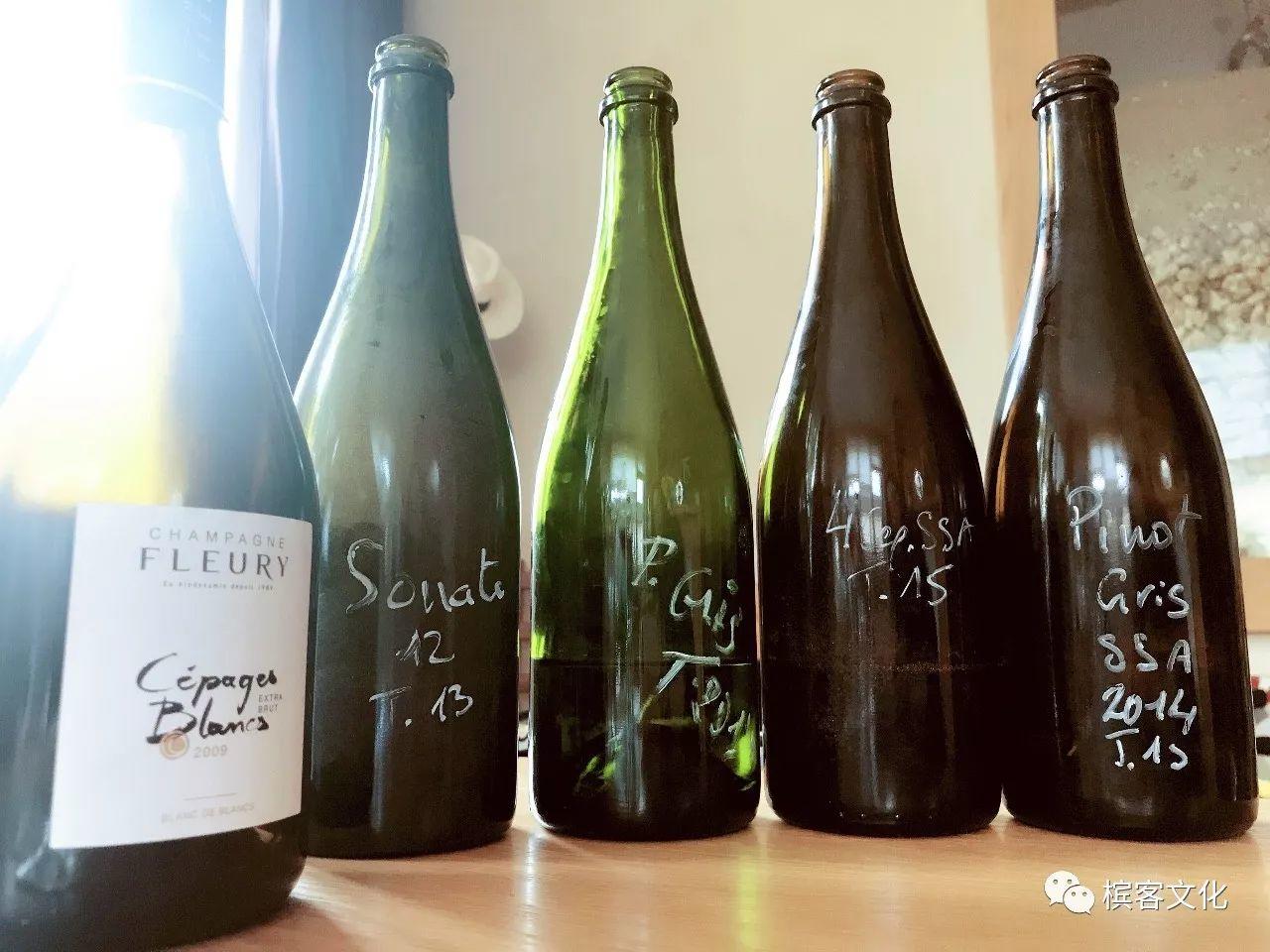 我们喝的香槟是什么葡萄酿制的？所有7个品种都在这里了！