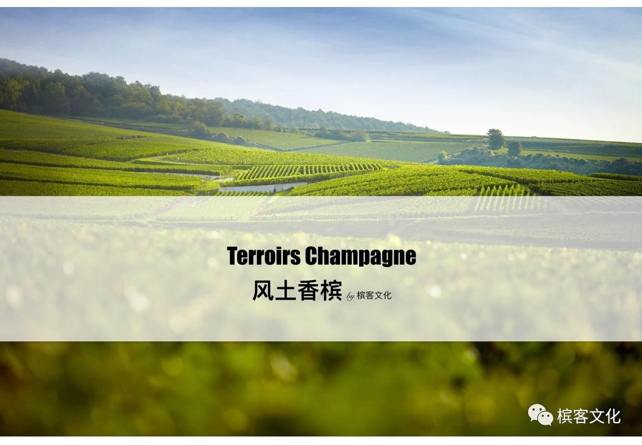 中国盲品大赛的奖品将有好多香槟，请您现场查收....