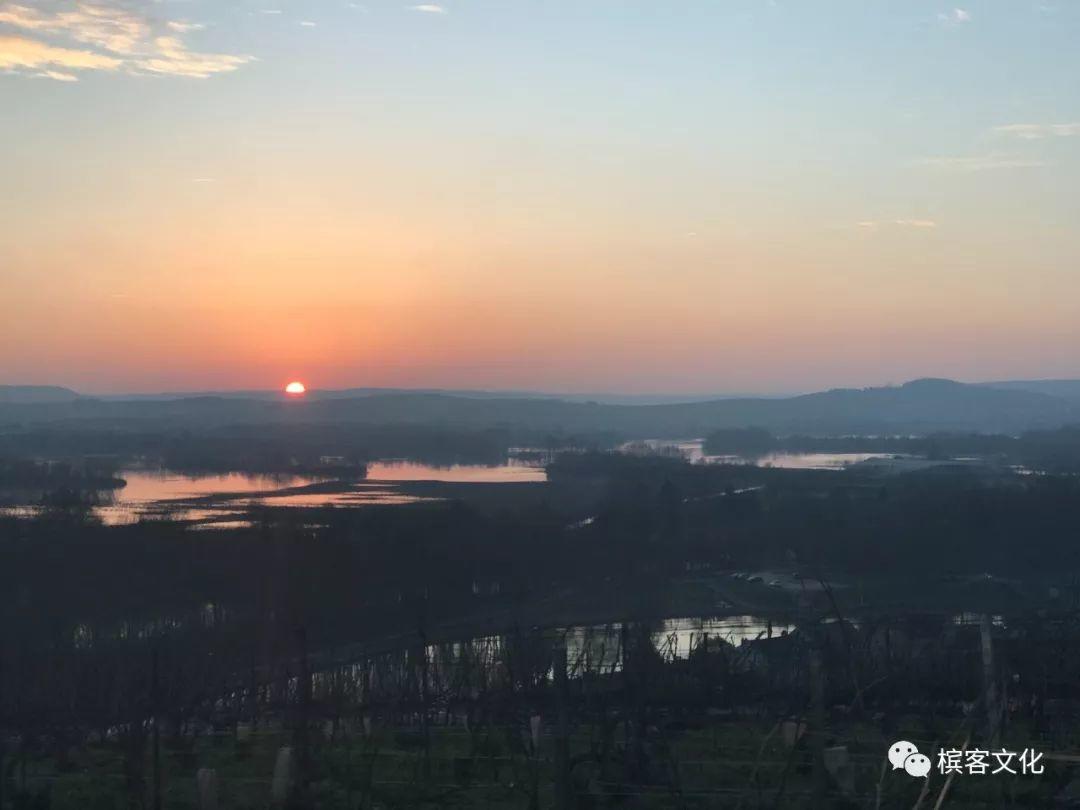 巴黎塞纳河水位预警，隔壁香槟区马恩河畔的葡萄园还健在吗？