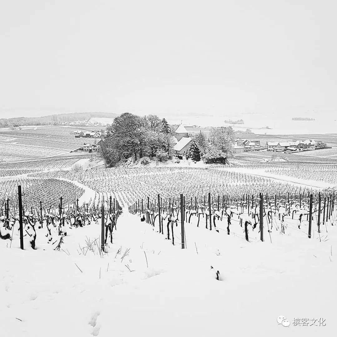 印象 I 马上放假了，最美“雪乡”其实是在法国香槟区～