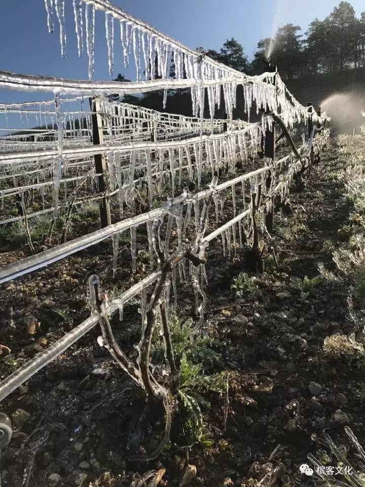 「香槟知识小测试」第四期前10名名单&答案详解