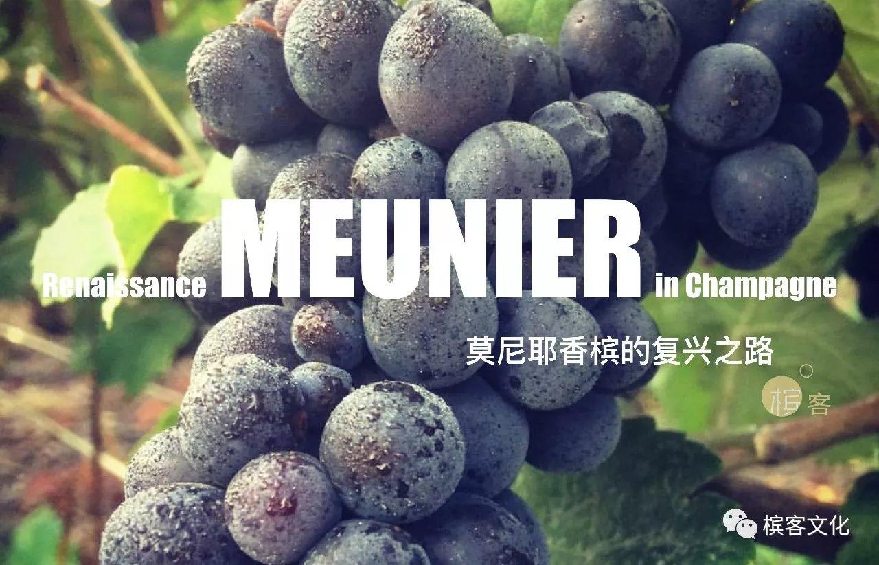 我们喝的香槟是什么葡萄酿制的？所有7个品种都在这里了！