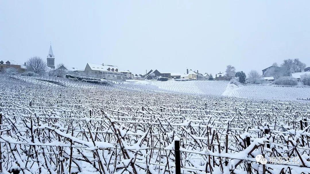 印象 I 马上放假了，最美“雪乡”其实是在法国香槟区～