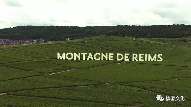 槟客辞典 | 全面解读香槟子产区兰斯山脉Montagne de Reims