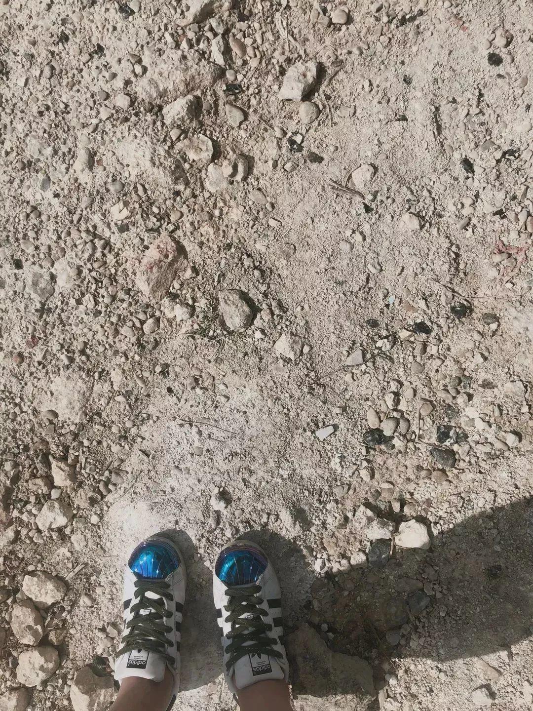碗梨 | 风土还是商业，哪个决定了香槟的前世今生