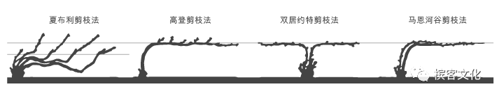 约会他点了起泡酒（不是香槟）？那就不必再见了！！！