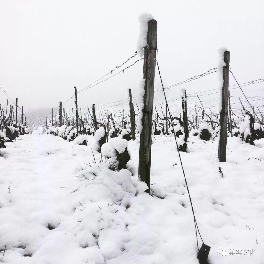 印象 I 马上放假了，最美“雪乡”其实是在法国香槟区～