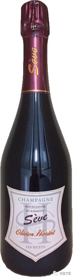 6.9深圳 • 槟客学院 I Champagne Discovery