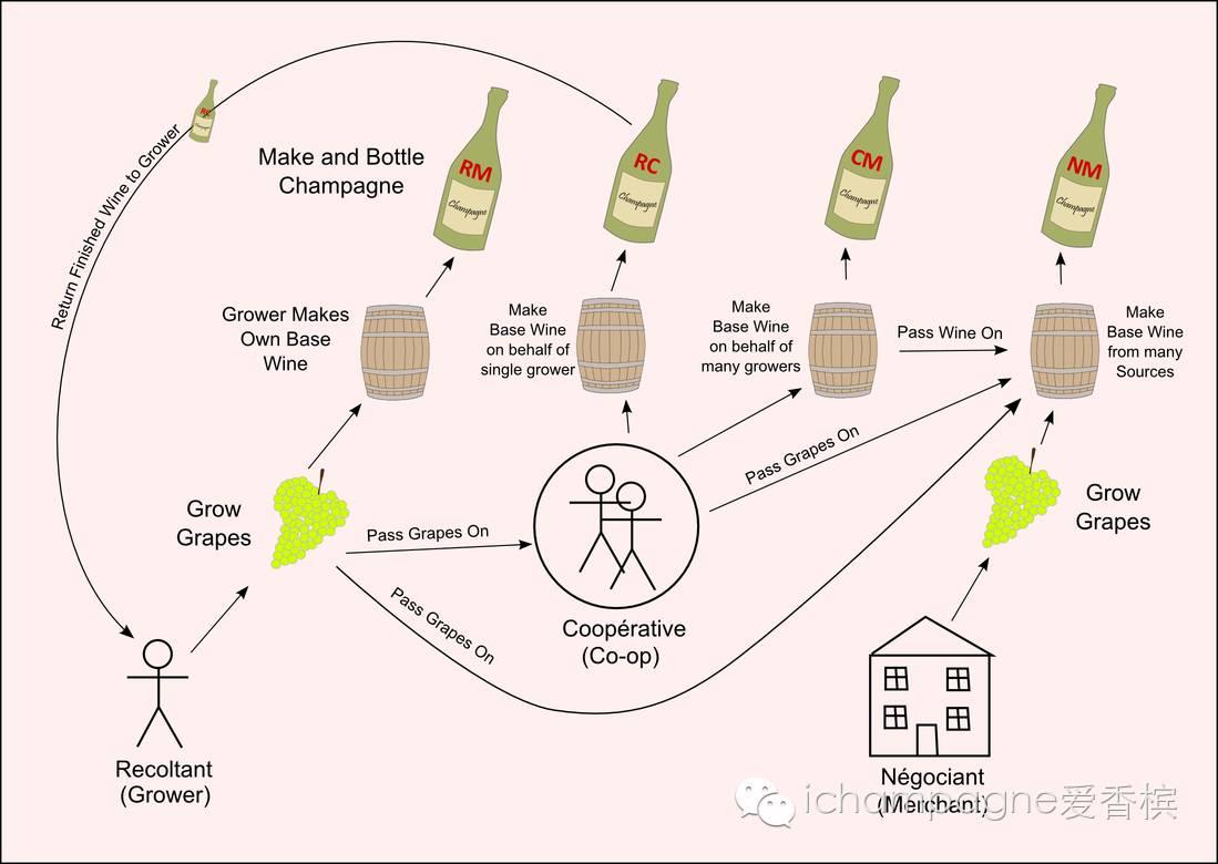 开启香槟专家模式：名词解析+酒标写了什么？