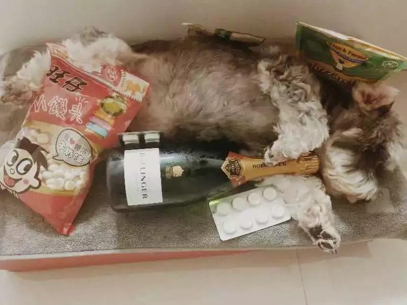 槟客文化 | 香槟客美照投票开始啦
