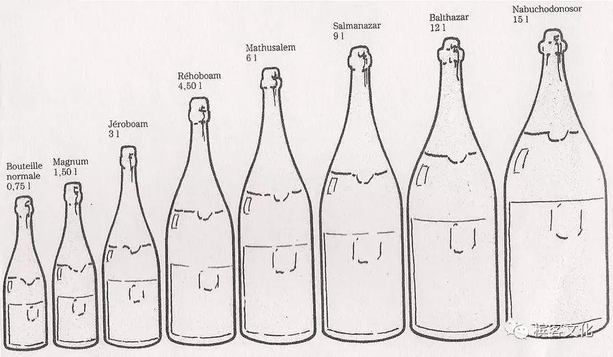 选一款好香槟，Size重要吗？