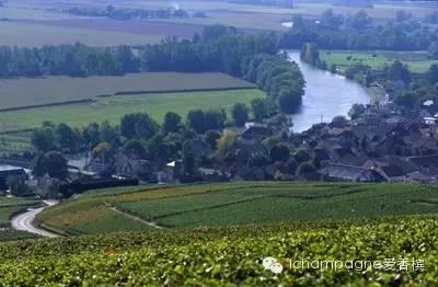 香槟的风土(二): 马恩河谷 Vallée de la Marne