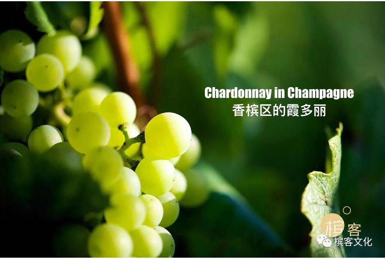 我们喝的香槟是什么葡萄酿制的？所有7个品种都在这里了！