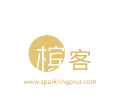 中文香槟网站正式上线，所有爱好者和从业人士必备的香槟酒+旅行指南！