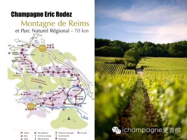 香槟的风土(一)：兰斯山脉 Montagne de Reims篇