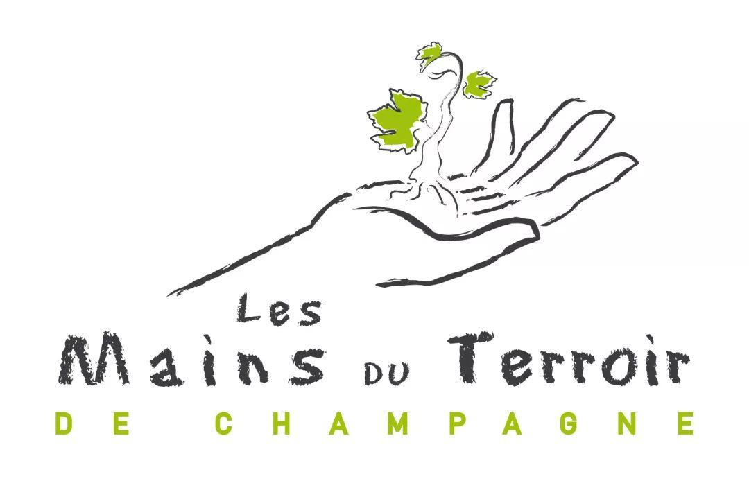 活动 | 2019 Champagne Week, 满满的都是香槟