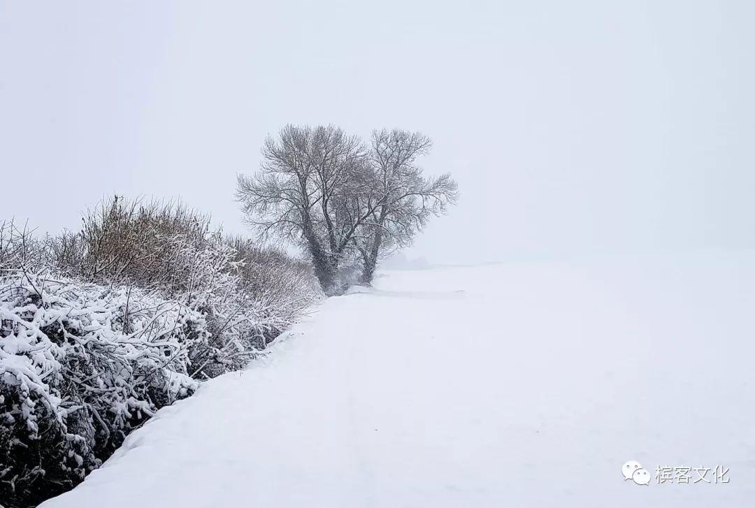 印象 I 马上放假了，最美“雪乡”其实是在法国香槟区～