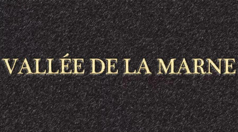 槟客辞典 | 全面解读香槟区马恩河谷Vallée de la Marne