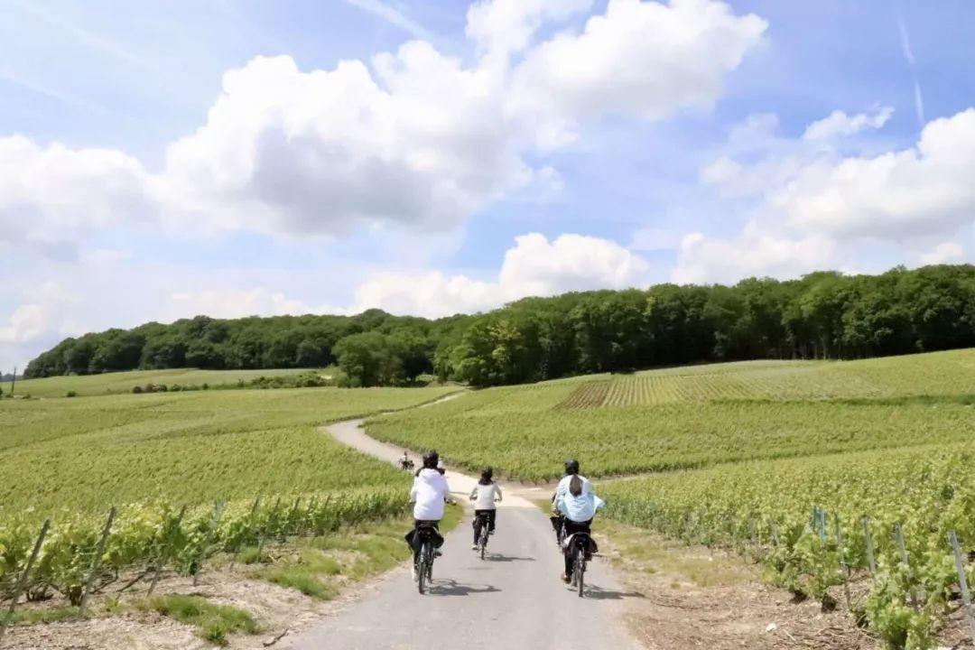 香槟旅行终极目的地：唐·培里侬修道院和奥维莱尔小镇