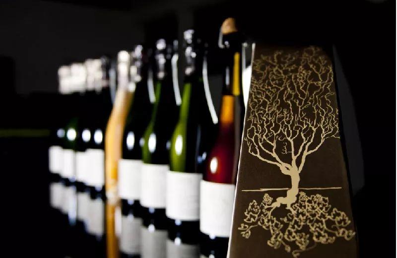香槟酒展大师班详解 | 传奇故事：谁是Anselme Selosse?