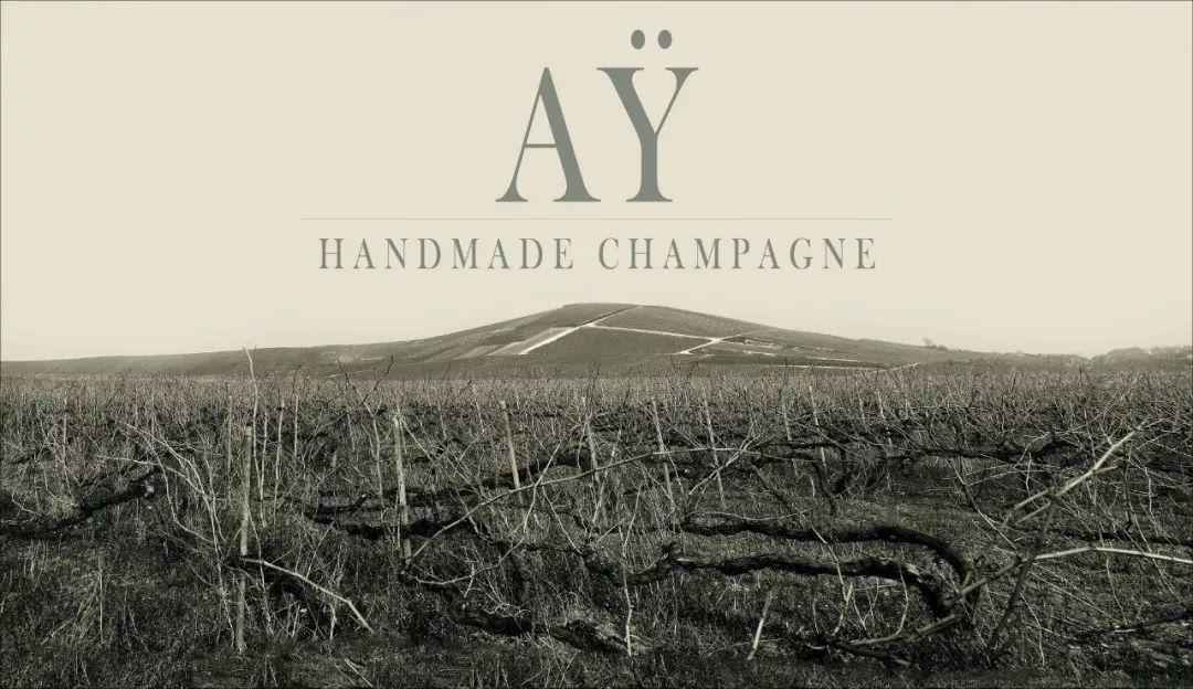 2019 展商介绍 | 亨利吉罗香槟 Champagne Henri Giraud