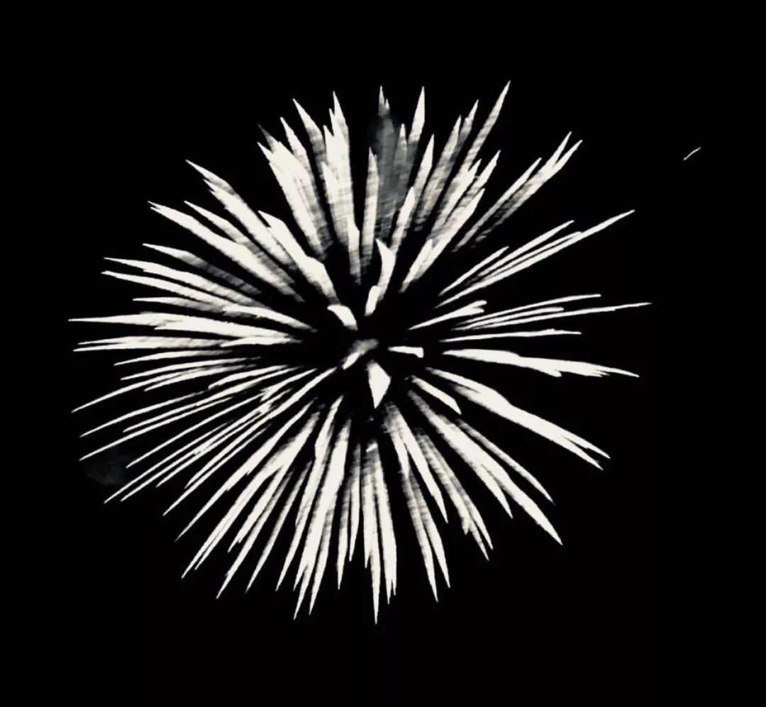 / Blanc de Blancs / 品味极致之白的香槟表达