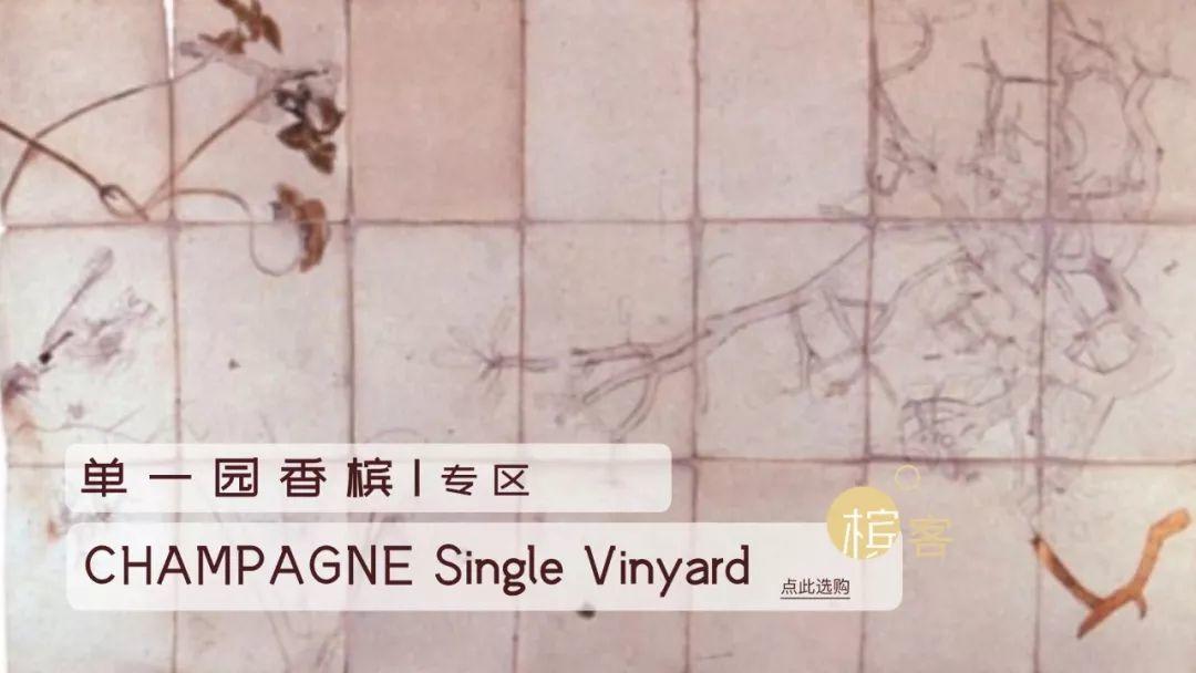 / Blanc de Blancs / 品味极致之白的香槟表达