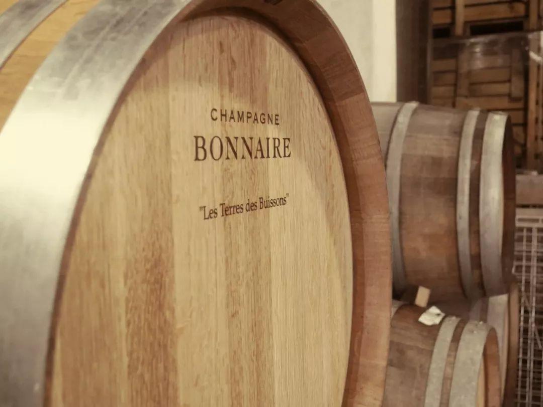 2019 展商介绍 | 伯纳香槟 & 宝蔻特香槟 Champagne Bonnaire & Paul Clouet