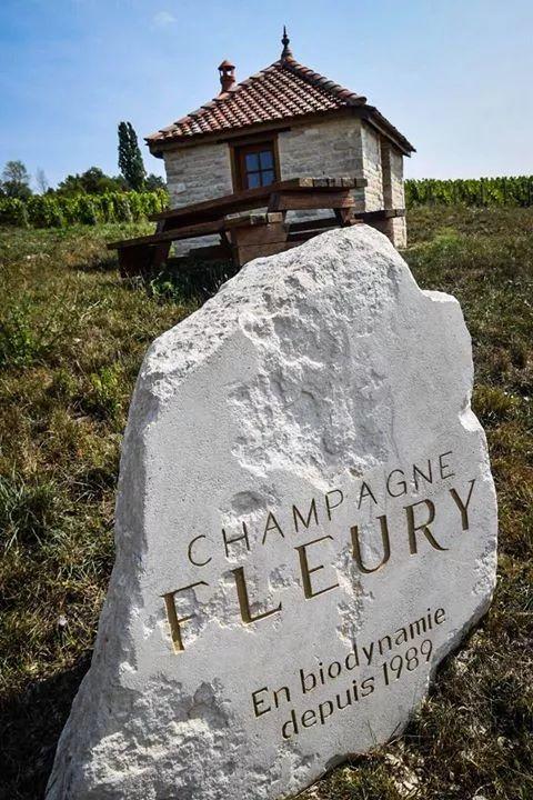 2019 展商介绍 | 芙乐莉香槟 Champagne Fleury