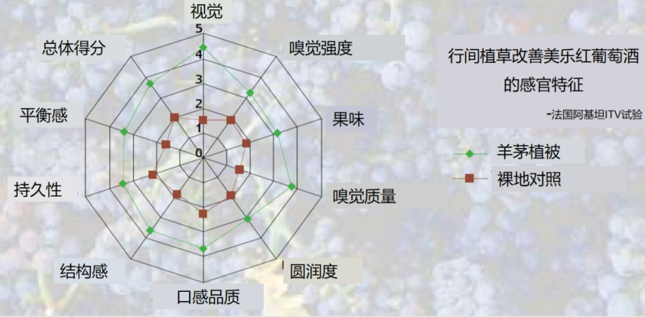 干货I 葡萄园里要不要种草?有法律规定吗? 干货I 葡萄园里要不要种草?有法律规定吗?