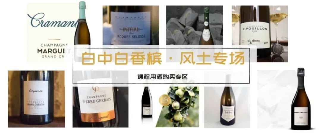 7.14 & 7.29 上海｜盲品冠军Sam的香槟课：100%白中白香槟 ⎡香槟客的夏天⎦