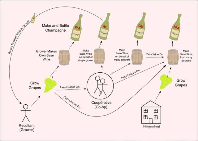 酒标解析I │ NM, RC, RM... 这些出现在酒标上的密码到底是什么意思？