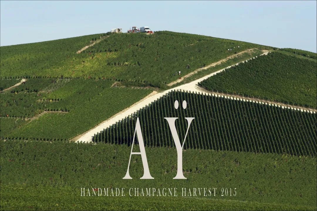 Henri Giraud ⎜ 酒庄 Logo 诉说的故事