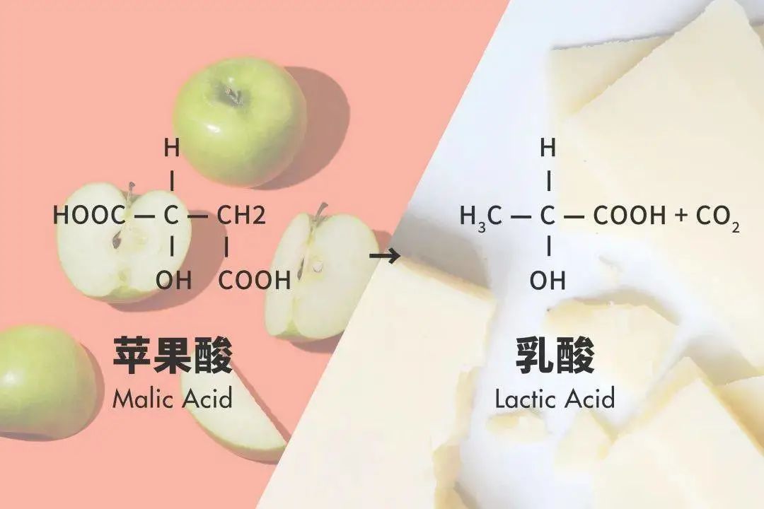 香槟中到底有哪些香气？