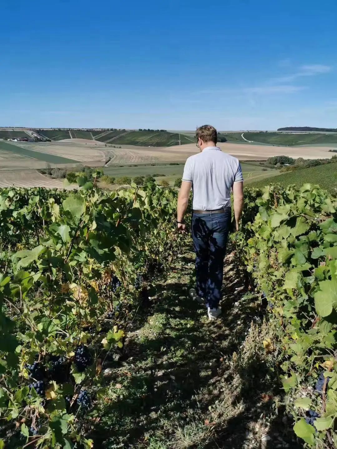12.18 上海 | Champagne Edouard Duval 全系列香槟庄主午宴 12.18 上海 | Champagne Edouard Duval 全系列香槟庄主午宴