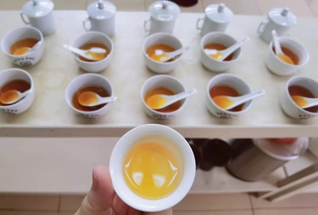「茶汤与茶水——从香槟到祁红味觉探索」品鉴大师班 「茶汤与茶水——从香槟到祁红味觉探索」品鉴大师班
