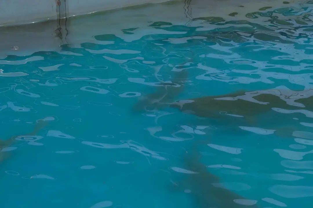 2021，每一个高光时刻，都有香槟相伴