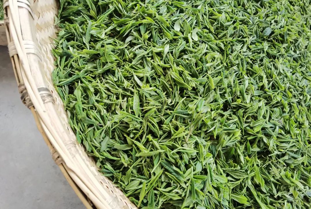 「茶汤与茶水——从香槟到祁红味觉探索」品鉴大师班 「茶汤与茶水——从香槟到祁红味觉探索」品鉴大师班