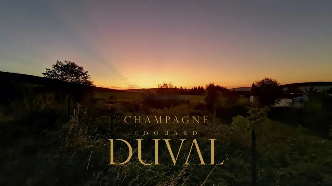 金牛座月香槟推荐 | Edouard Duval Noir d’Eulalie 爱德华蜜语园黑中白香槟