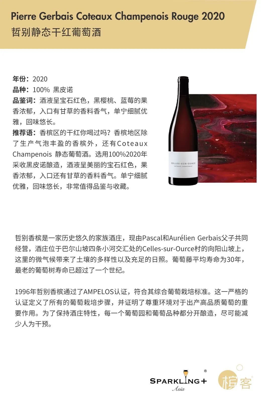 8.7 深圳 | 黑中白主题大师班，「Champagne Rendez-Vous 香槟约会」特别活动