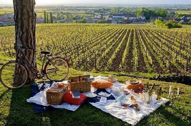 葡萄酒之旅进行时 | 从香槟区到各大葡萄酒产区最新交通攻略