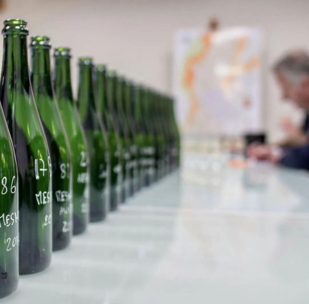 槟客对话 ⎜ 罗斯柴尔德香槟酒庄：家族新星，未来可期